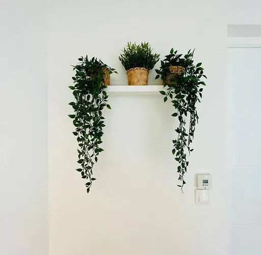 Holiday home Le Solferino - Proche Fetilly